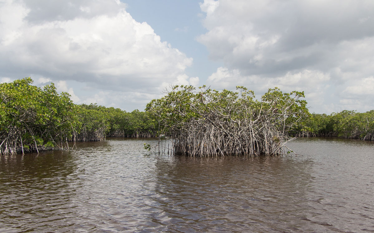 Everglades Airboat Tour Kosten florida rundreise route f 252 r 14 tage mit tipps kosten Everglades Airboat Tour Kosten florida rundreise route f 252 r 14 tage mit tipps kosten