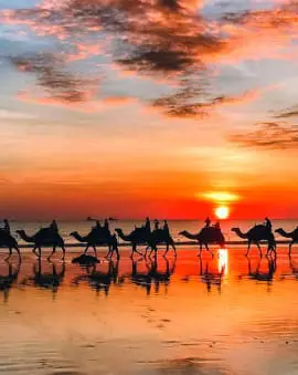 Westküste Australien Reisebericht Perth - Broome