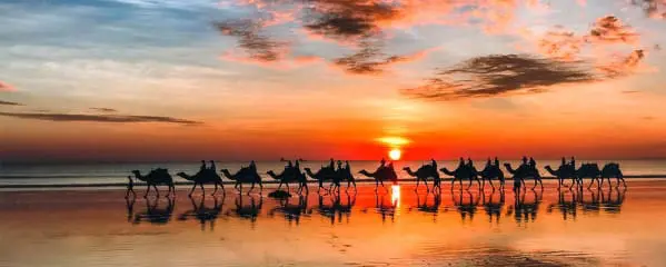 Westküste Australien Reisebericht Perth - Broome