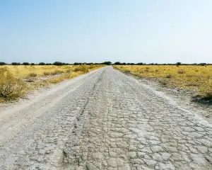 Botswana Autofahren: Tipps & Erfahrung