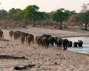caprivi-namibia-bwabata-nationalpark