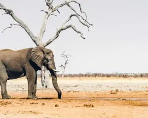 Reiseblog Afrika Reiseberichte