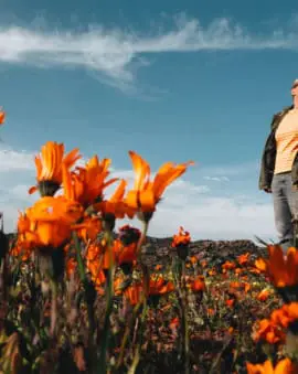 Südafrika Sehenswürdigkeiten Highlights