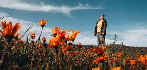 Beste Reiseziele im August für Deutschland, Europa und Fernreisen