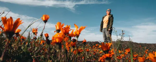 Südafrika Sehenswürdigkeiten Highlights