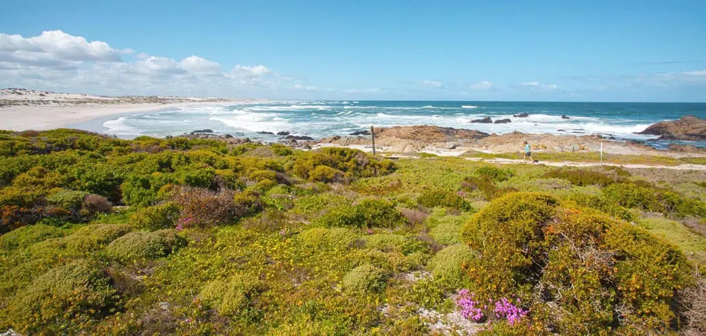 Highlights entlang der Westküste Südafrikas: Langebaan & Paternoster