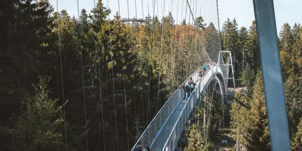 Wildline in Bad Wildbad im Schwarzwald