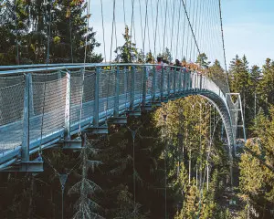 Baden-Württemberg Reiseblog Wildline Schwarzwald