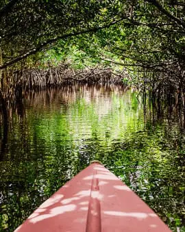 Everglades Florida Kajakfahren