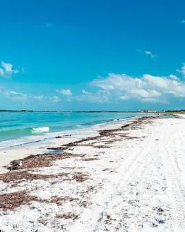 Florida Caladesi Island Strand Clearwater St. Petersburg Sehenswürdigkeiten