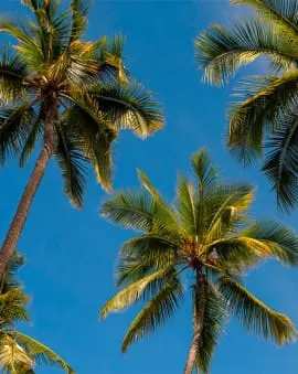 Hawaii beste Reisezeit