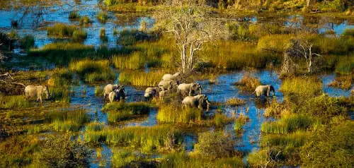 Reise nach Uganda und Ruanda planen – wichtige Reisetipps