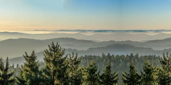 Schwarzwald die schönsten Orte und Highlights