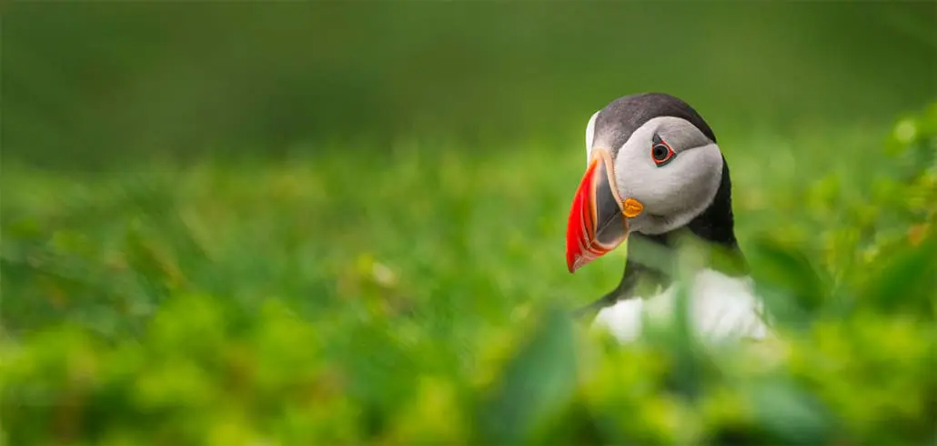 Färöer Inseln Urlaub Reiseberichte