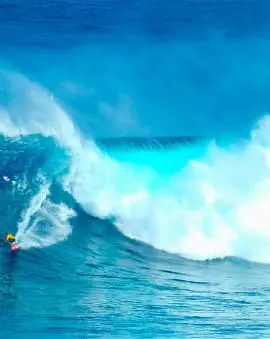 Hawaii Urlaub Reise Tipps Surfer North Shore