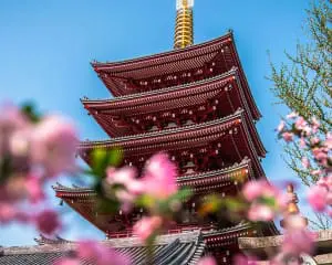 Japan beste Reisezeit Erfahrung
