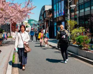 Japan Knigge Gutes Benehmen Tipps & Regeln