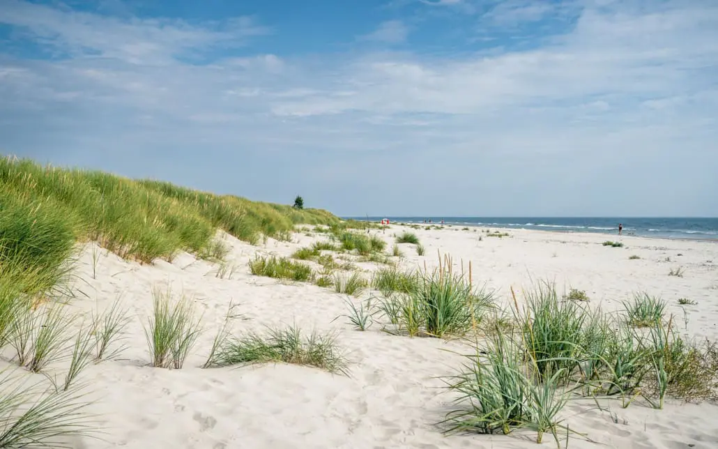 Sandhammaren Schweden - der schönste Strand an der Ostseeküste