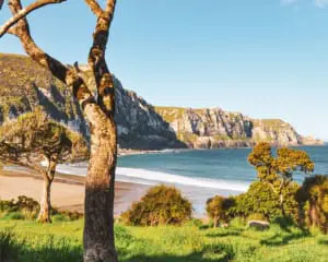 Schöne Campingplätze Neuseeland