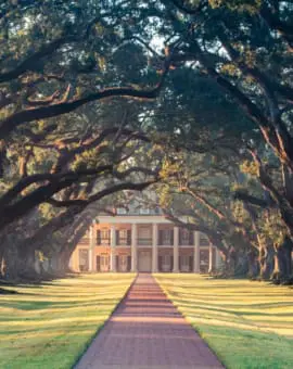 Louisiana Blog Oak Alley