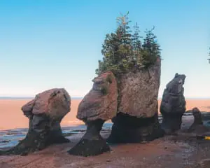 New Brunswick Kanada Sehenswürdigkeiten beim Roadtrip