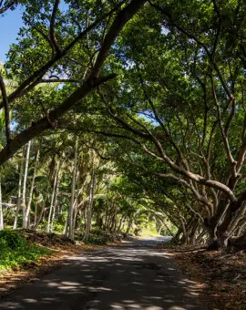 Die schönsten Roadtrips der Welt: Hawaii