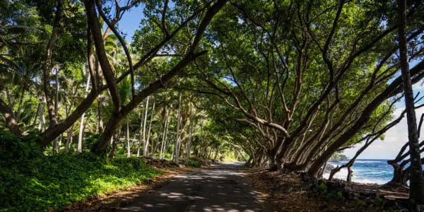 Die schönsten Roadtrips der Welt: Hawaii