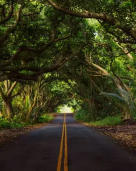 Road to Hana Roadtrip auf Maui Hawaii, Sehenswürdigkeit