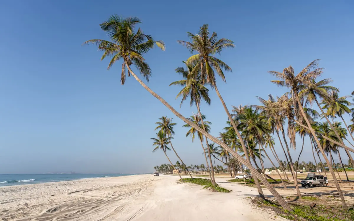Oman Salalah Coconut Beach