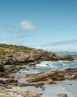 Hermanus Südafrika Cliff Path