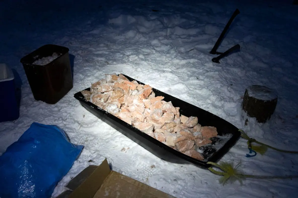 Gefrorenes Fressen für Huskys