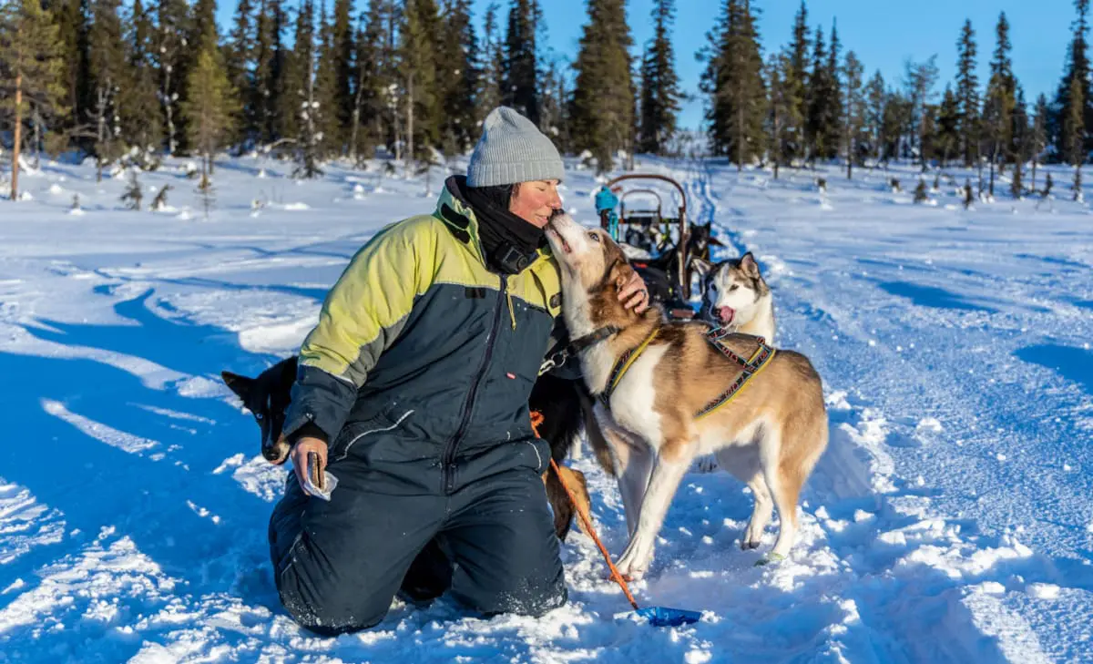 Schmuseeinheiten in der Pause