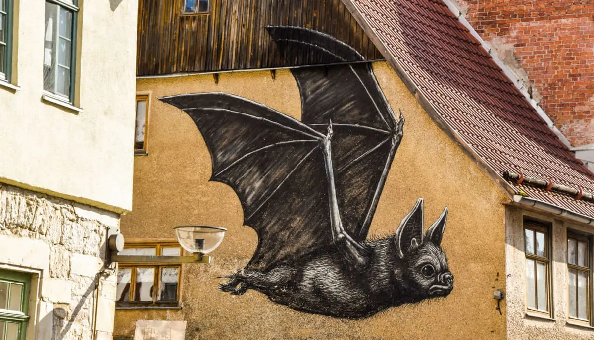 Schmalkalden Street-Art von ROA