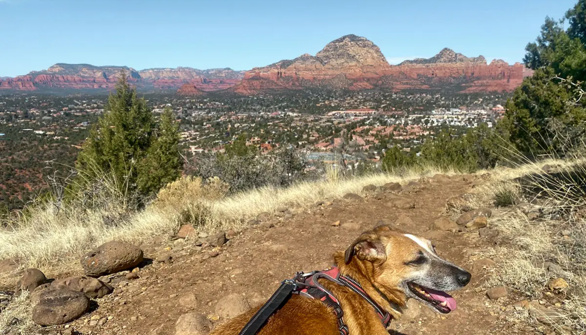 Secret Hike in Sedona: Airport Loop