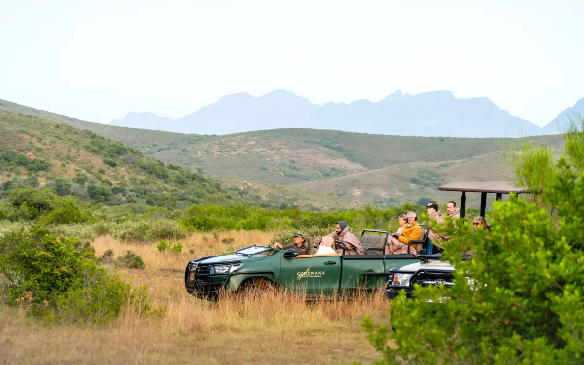 Pirschfahrt am Morgen Gondwana Private Game Reserve