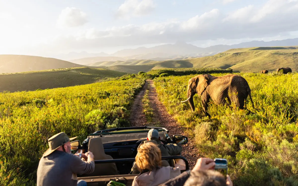 Pirschfahrt Gondwana Game Reserve Südafrika