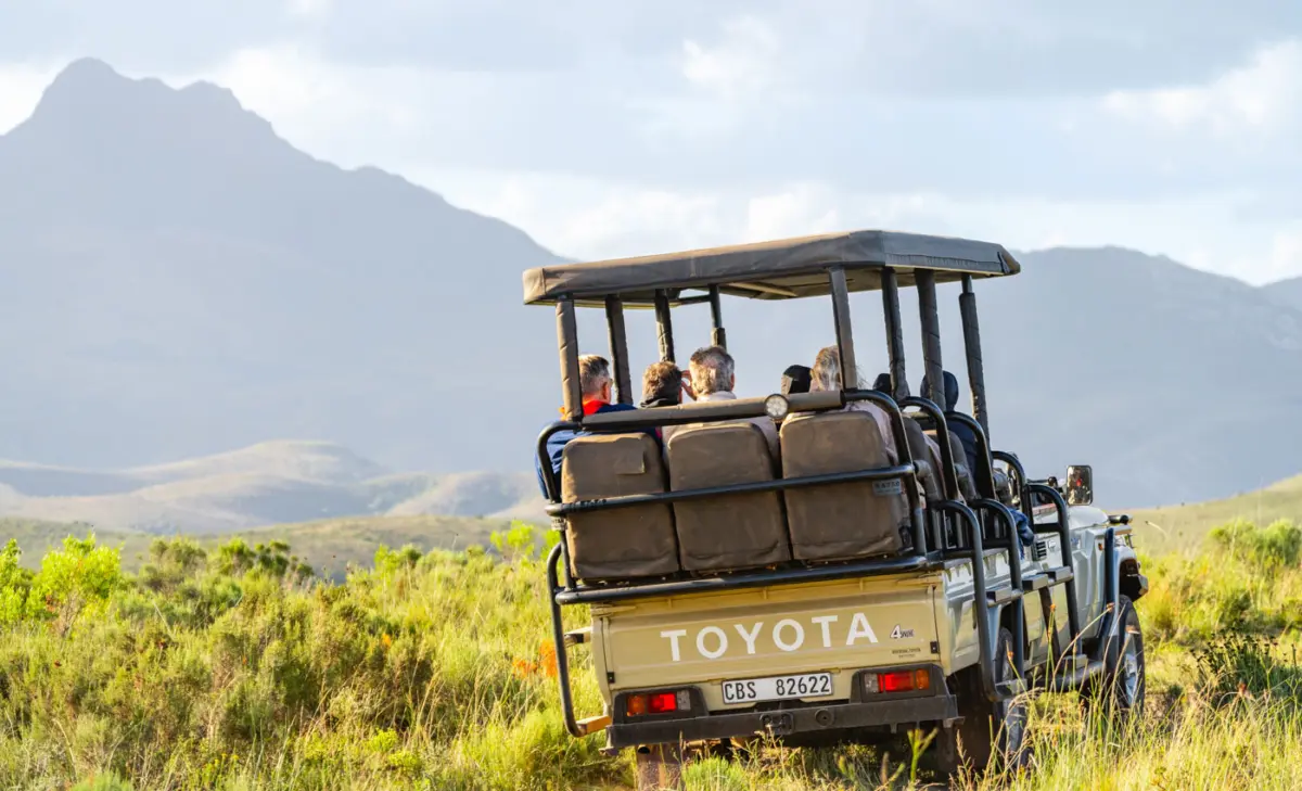 Unterschiede Nationalparks und Private Game Reserves Südafrika