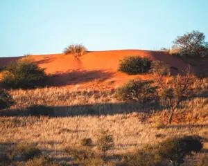 Nordkap Provinz Südafrika Kalahari Wüste