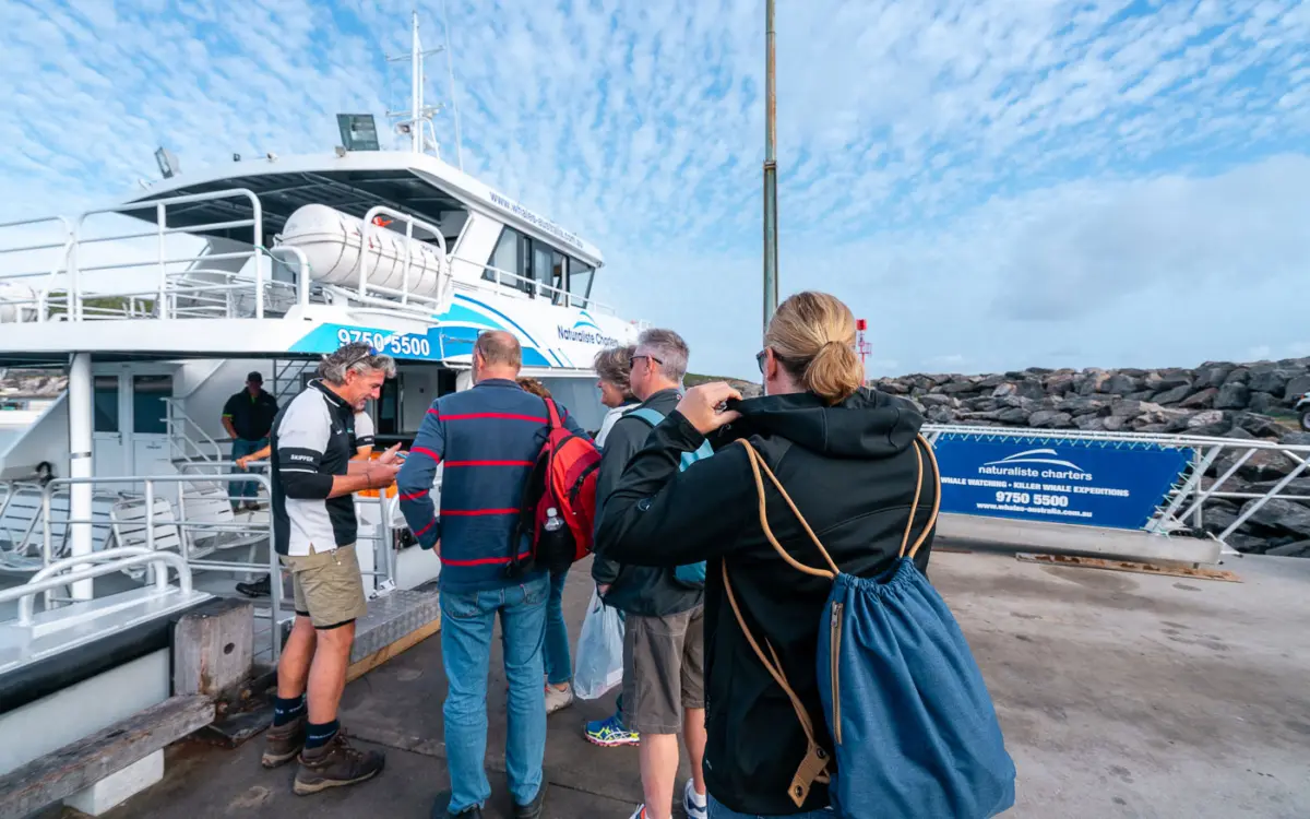 Tour zu Orcas in Bremer Bay mit Naturaliste Charters