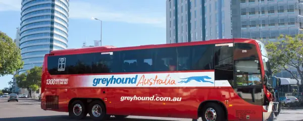 Greyhound Bus Australien lohnt sich