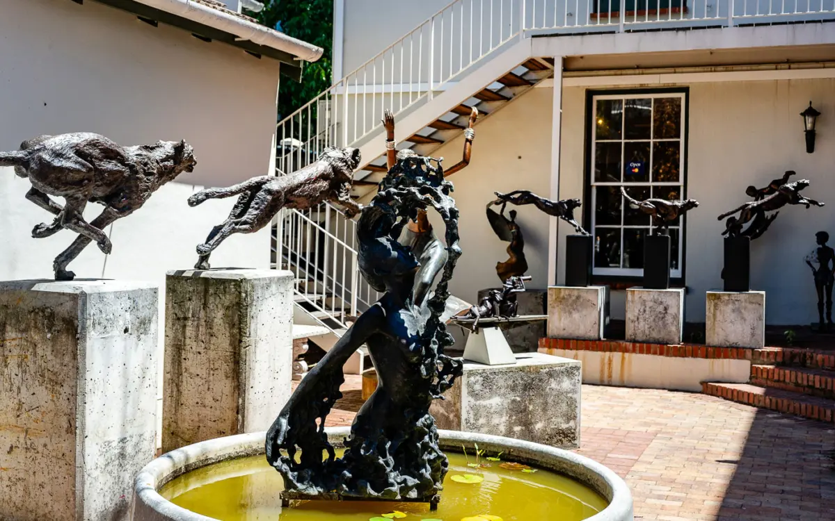 AOC Gallery in Stellenbosch