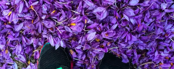 Beste Reisezeit für Marokko: Alle Infos zu Klima und Wetter