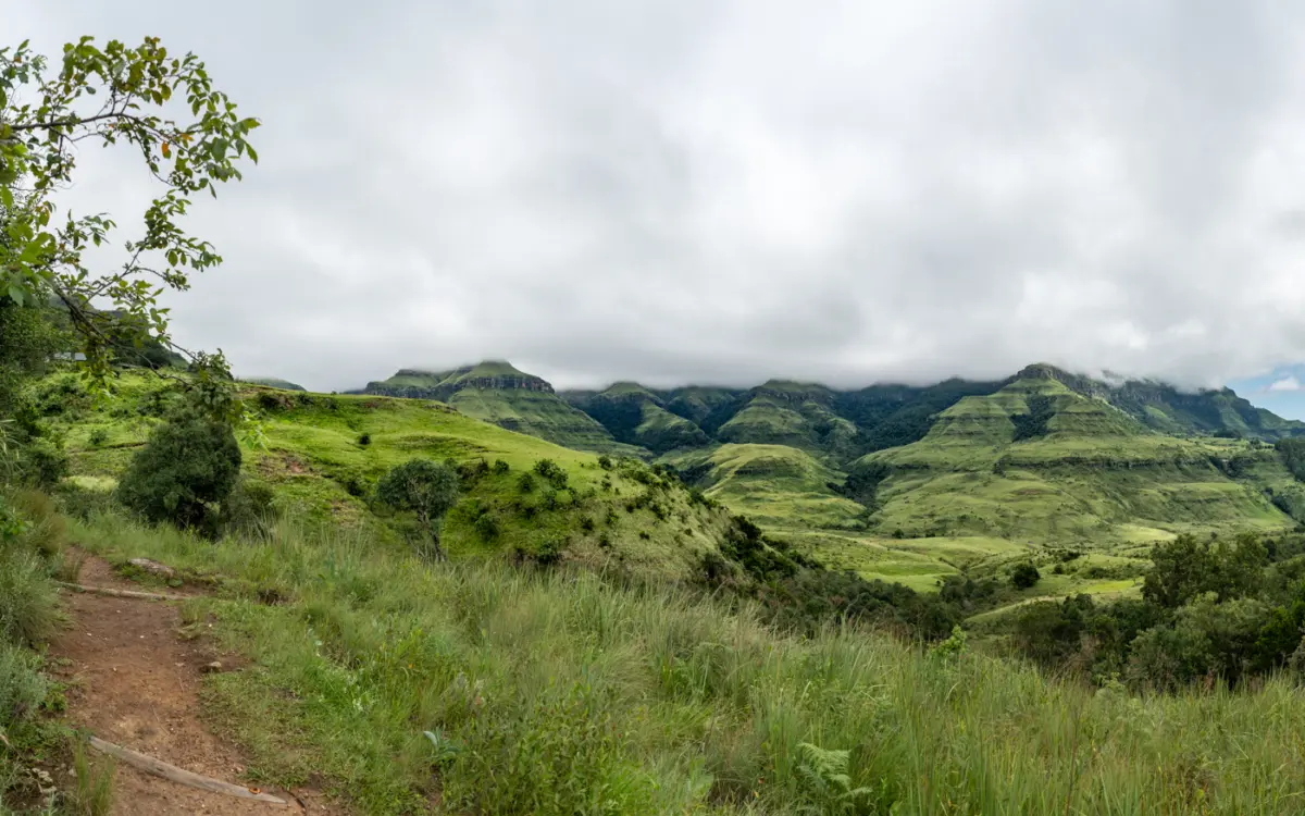 Monks Cowl Reserve Drakensberge Südafrika: Nandi Falls Wanderung