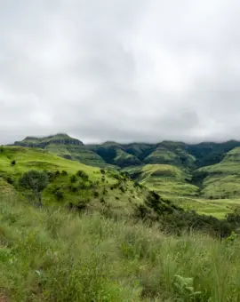 Monks Cowl Reserve Drakensberge Südafrika: Nandi Falls Wanderung