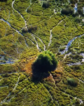 Okavango Delta Luftaufnahme