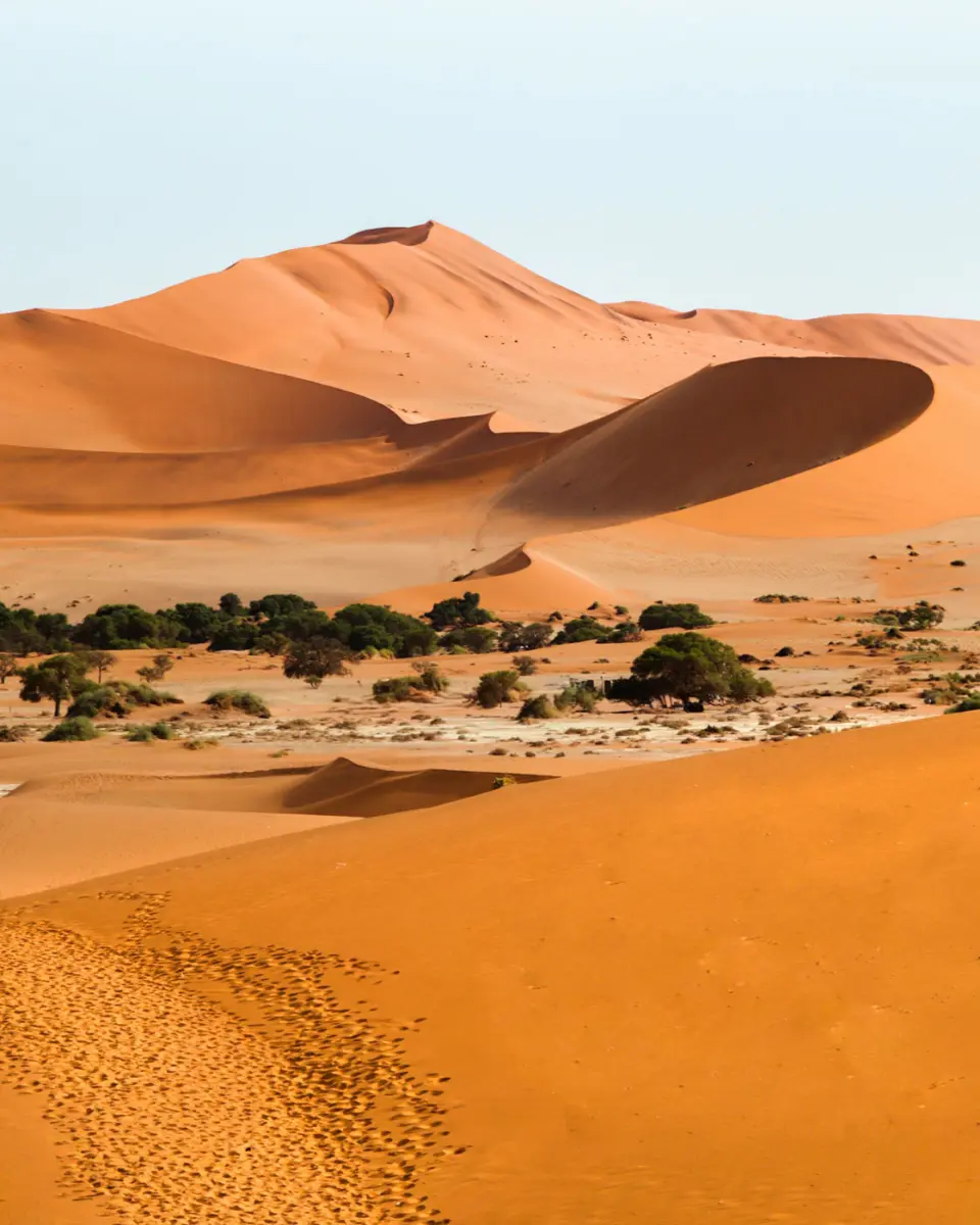Namibia Reiseblog Reiseberichte Soussouvlei
