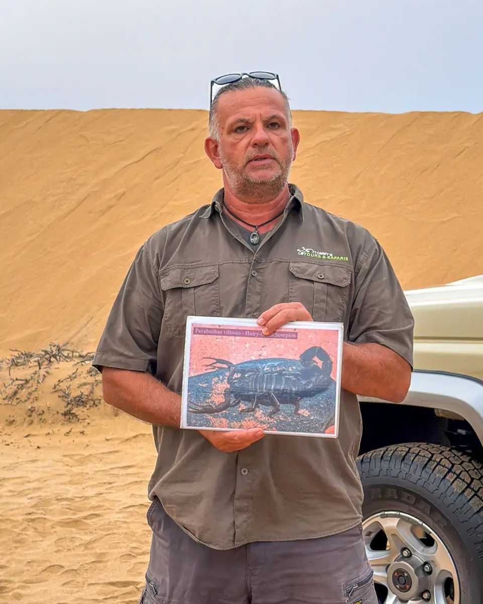 Johannes erklärt uns, was wir bei der Living Desert Tour an Tieren sehen könnten.