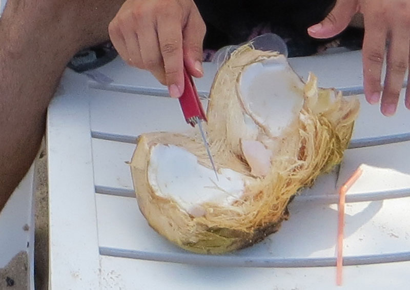 Kokosnuss Öffnen 