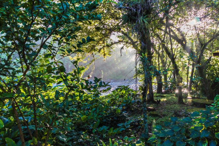 Sierra Maestra Unterkunft Kuba Sierra Maestra Unterkunft Santo Domingo Kuba