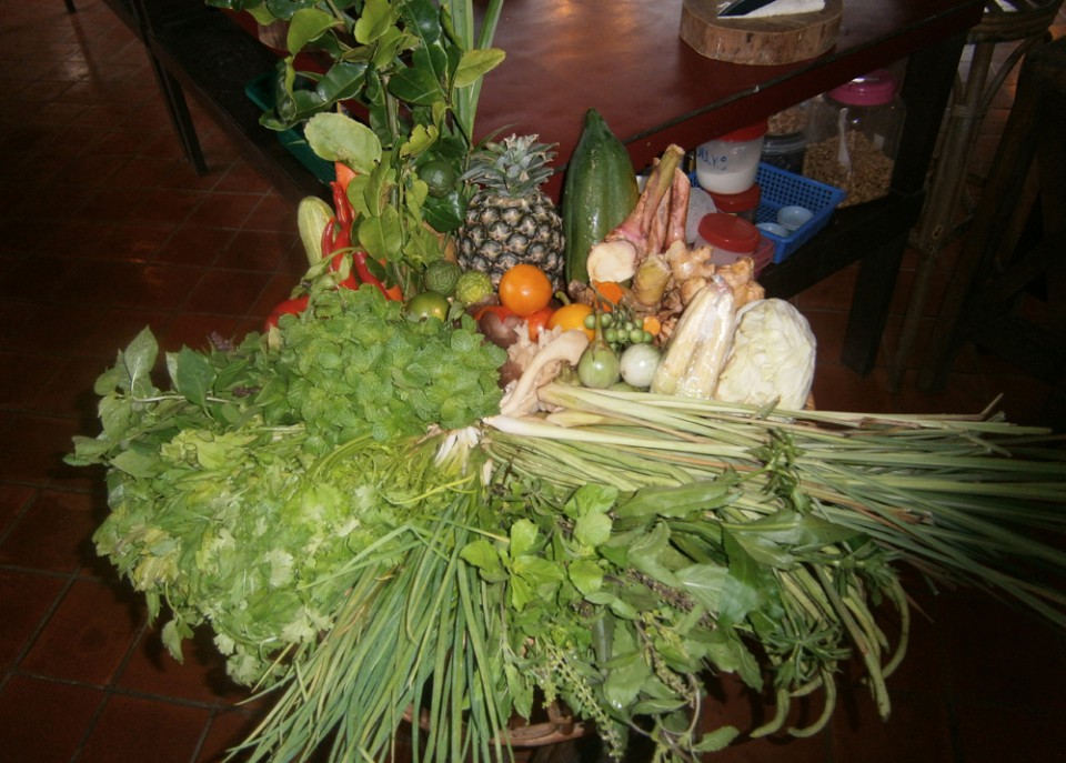 Thai-Kräutergarten
